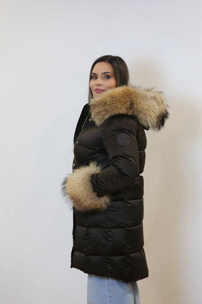 Kispo Chocolate com Pêlo Natural