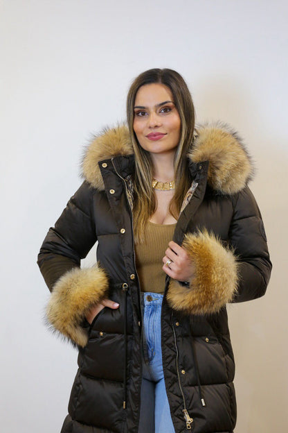 Kispo Chocolate com Pêlo Natural